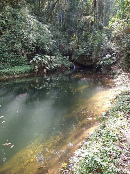 Piscina Natural.