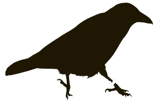 Aves