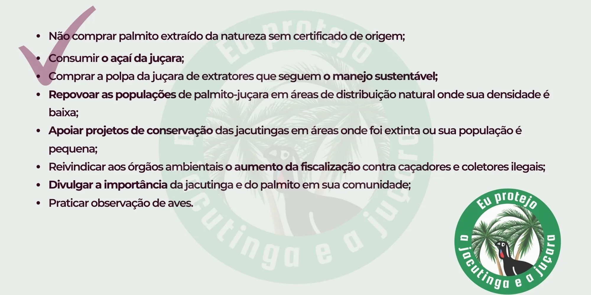 Lista do que você pode fazer: não comprar palmito extraído da natureza sem certificado de origem; consumir o açaí da juçara; comprar polpa de extratores que seguem o manejo sustentável; repovoar as populações de palmito-juçara; apoiar projetos de conservação das jacutingas; reivindicar aos órgãos ambientais o aumento da fiscalização; divulgar a importância da jacutinga e do palmito; e praticar observação de aves
