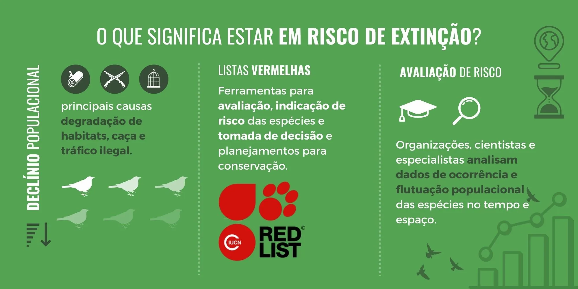 Infográfico “O que significa estar em risco de extinção?”, explicando declínio populacional, listas vermelhas da IUCN e como é feita a avaliação de risco