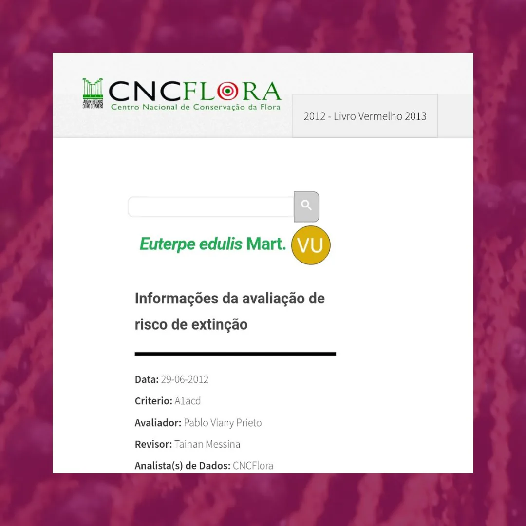 Ficha de avaliação de risco de extinção de Euterpe edulis no portal do CNCFlora, classificada como Vulnerável