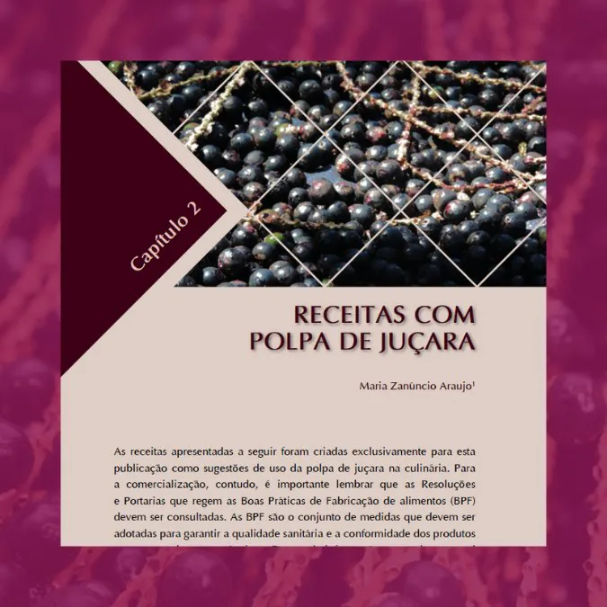 Capítulo “Receitas com polpa de juçara” do livro da juçara, com frutos ao fundo