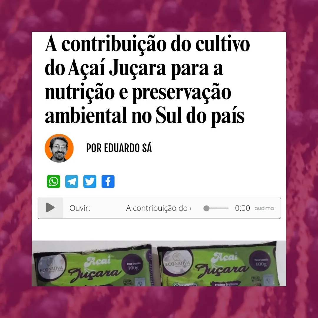 Reportagem “A contribuição do cultivo do Açaí Juçara para a nutrição e preservação ambiental no Sul do país”