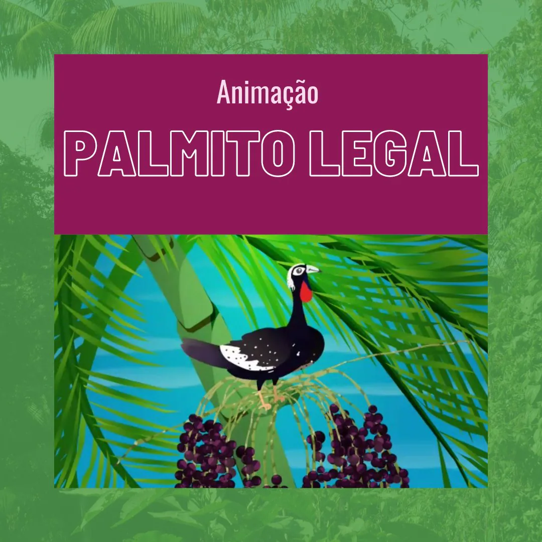 Capa da animação “Palmito Legal”, com ilustração de jacutinga sobre cacho de frutos de juçara