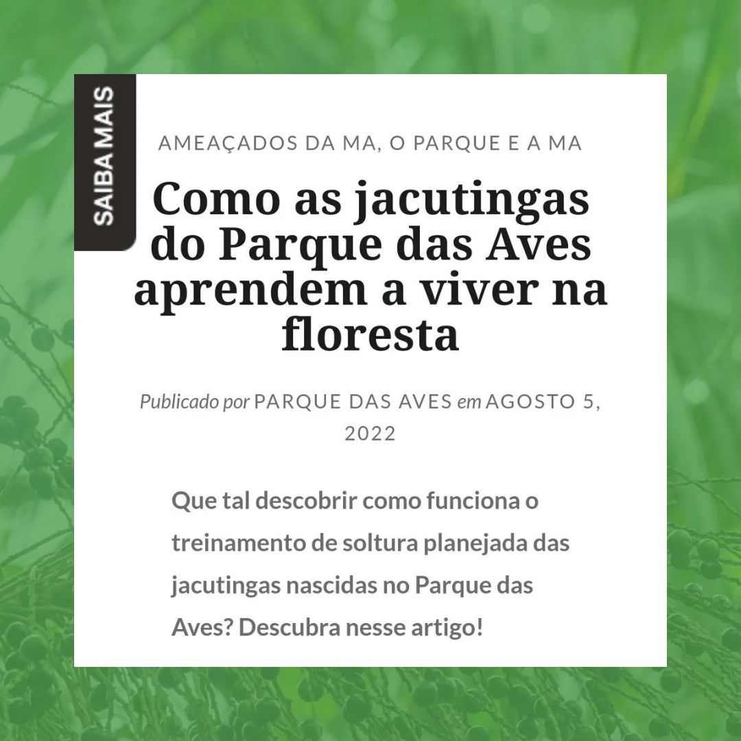 Artigo “Como as jacutingas do Parque das Aves aprendem a viver na floresta”