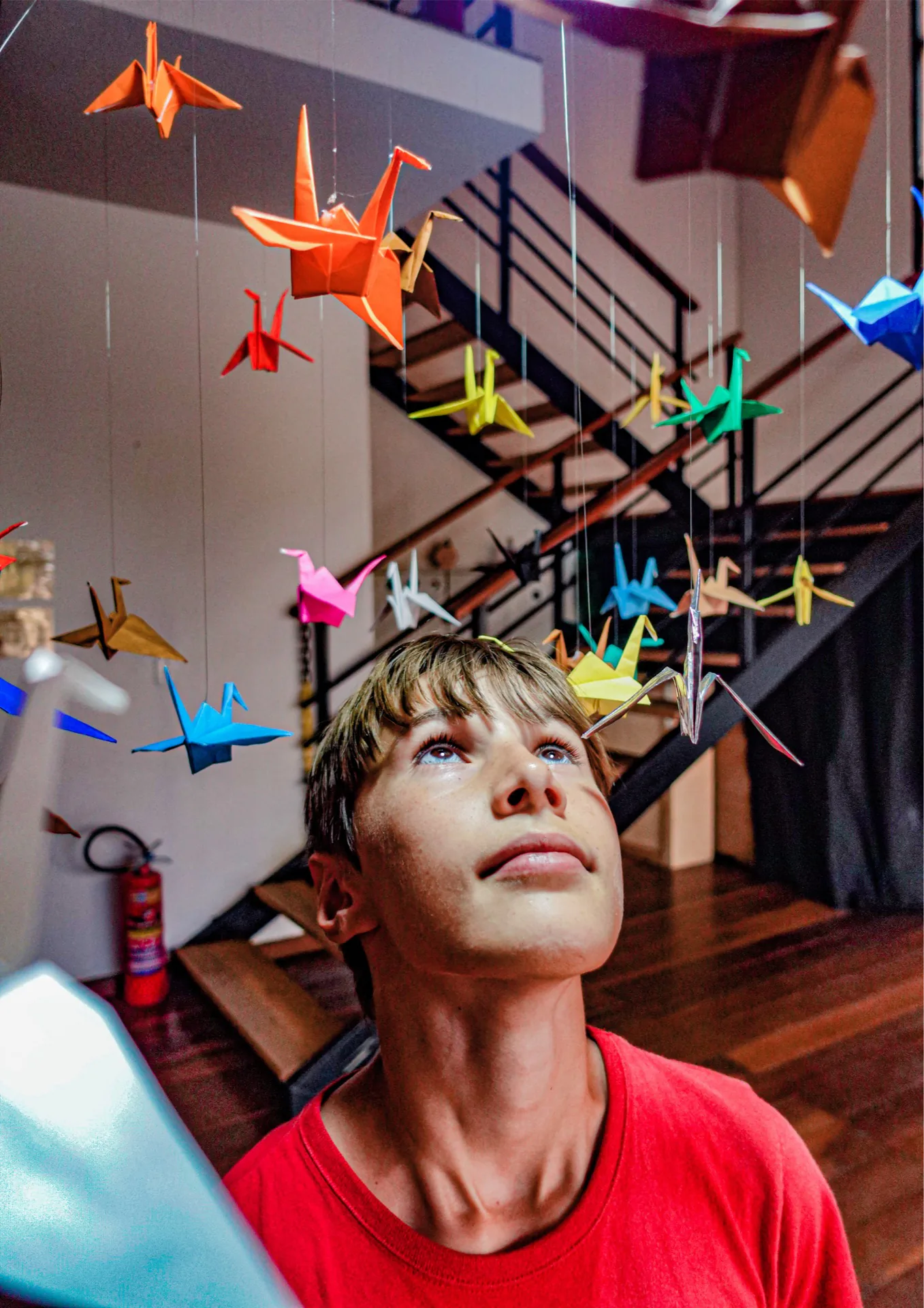 Instalação artística de aves de papel