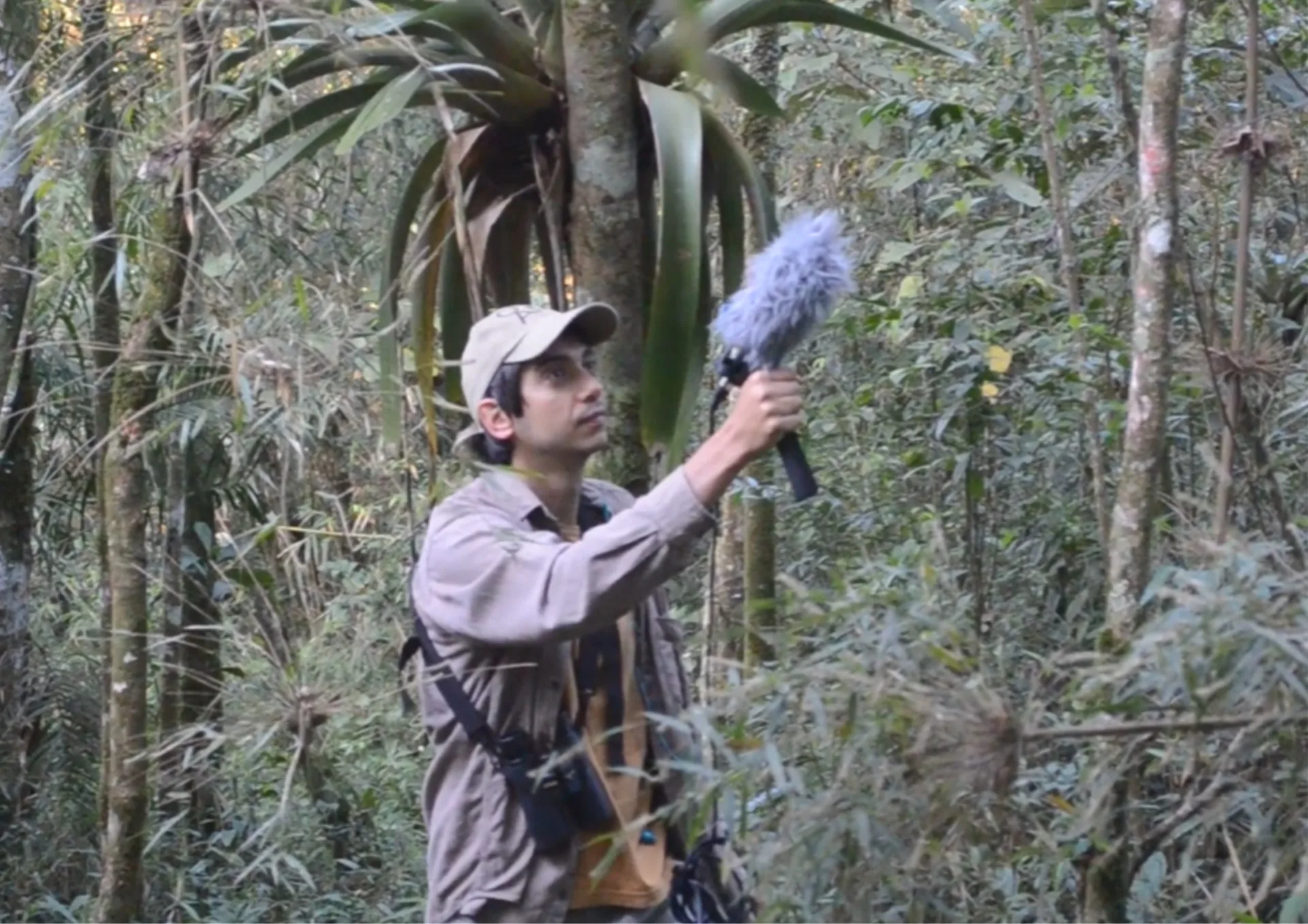 Pesquisador registrando aves em campo