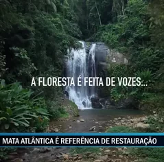 Campanha “Escute as Aves” do PAN Aves da Mata Atlântica