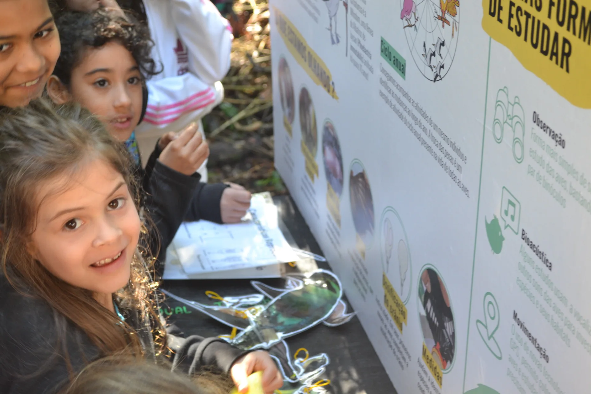 Crianças explorando exposição educativa sobre aves em atividade de campo do OAMa