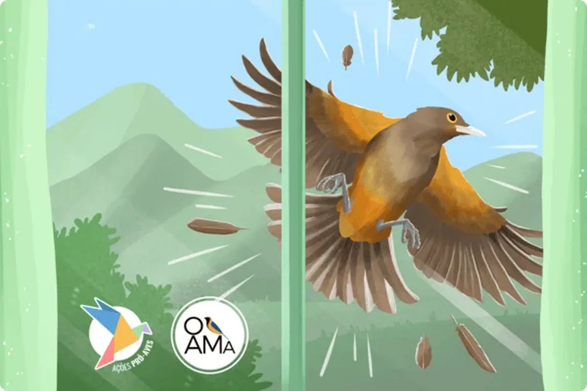 Ilustração de ave colidindo contra uma vidraça, abertura do webapp de reportes