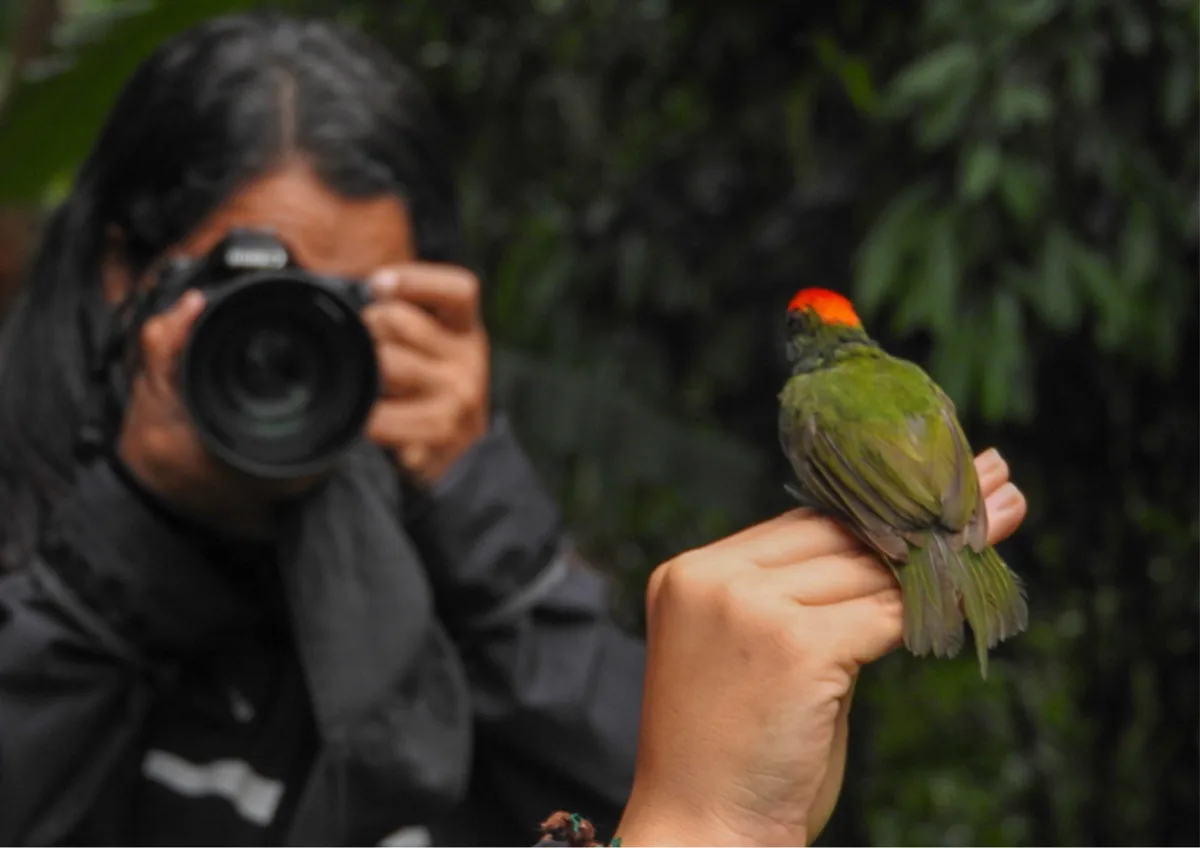 ECOTURISMO PARA RECONECTAR E CURAR