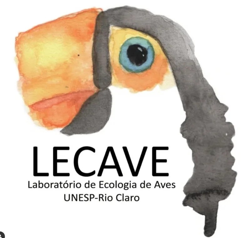 LECAVE