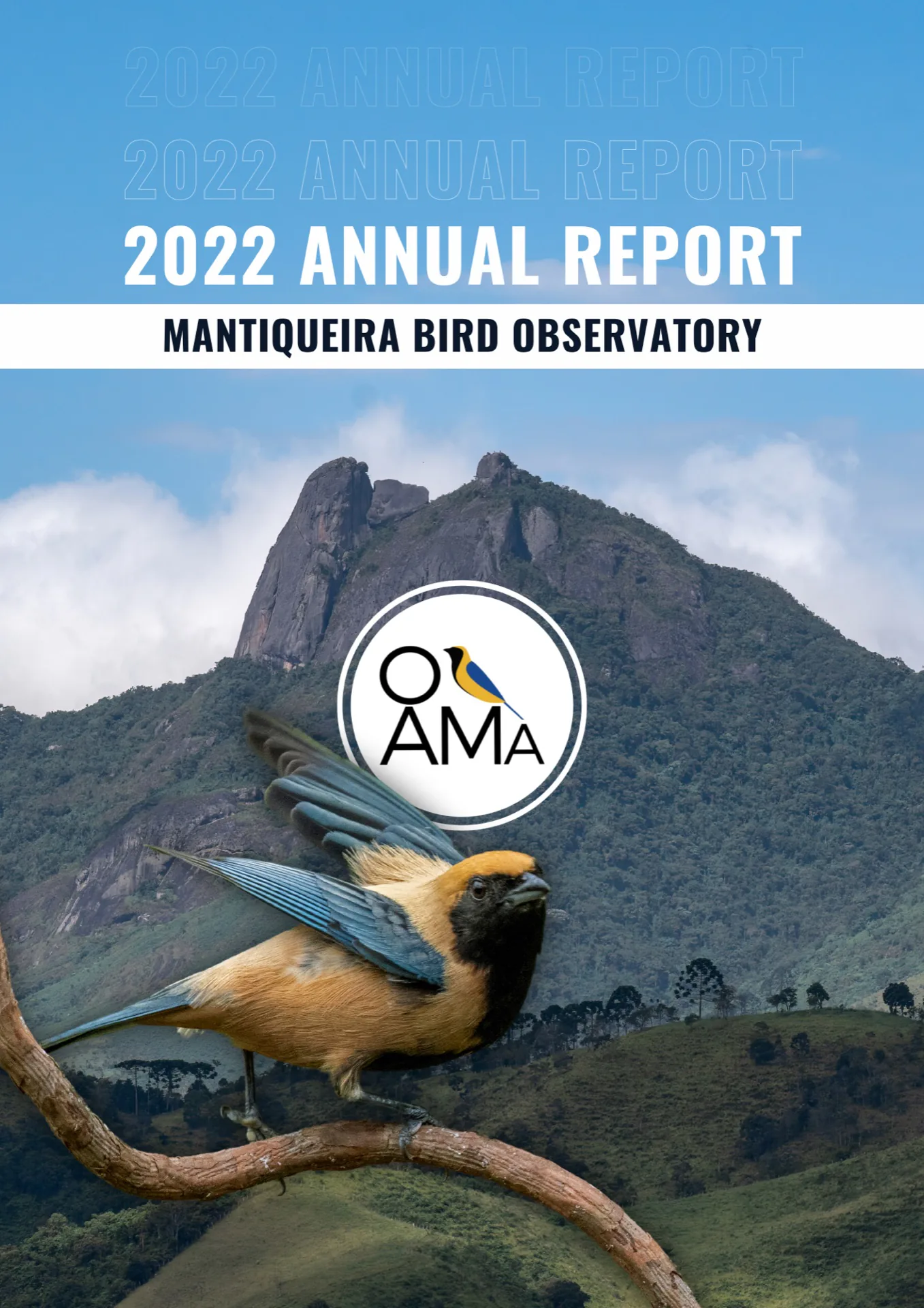 Relatório Anual 2022