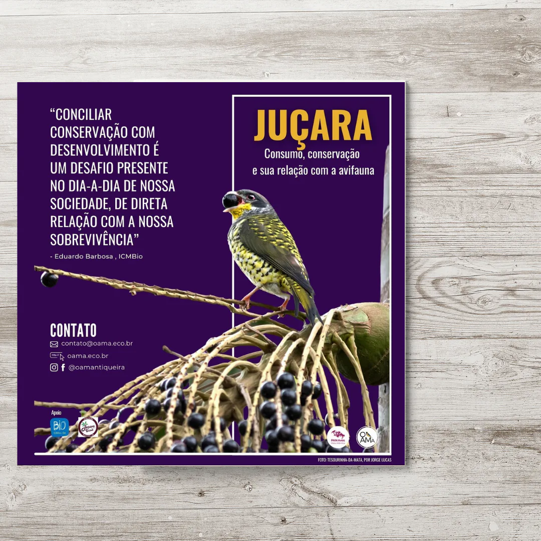 Folder sobre Uso e Conservação da Palmeira Juçara