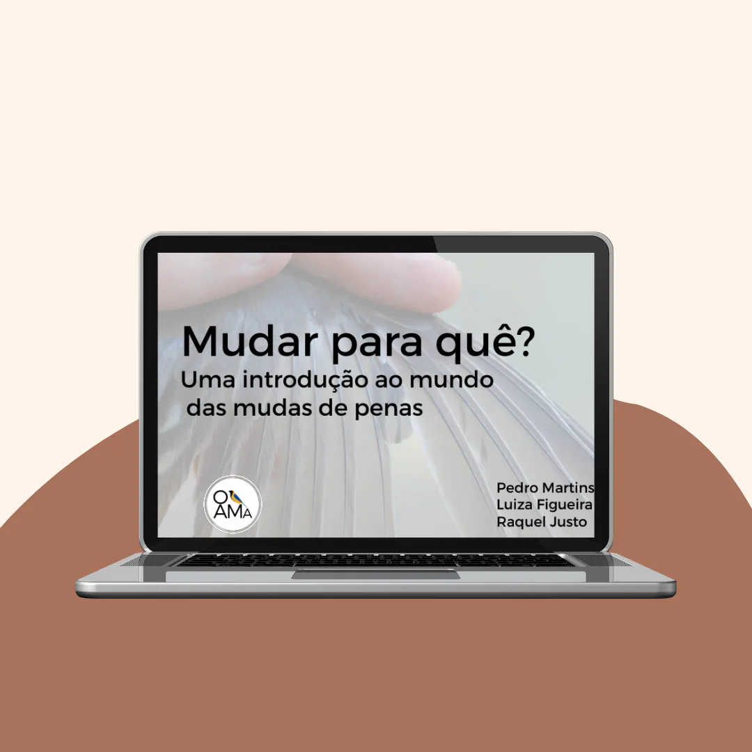 Palestra 'Mudar para quê? Uma introdução ao mundo da muda das penas'