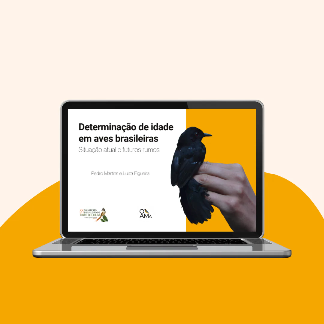 Palestra 'Determinação de idade em aves brasileiras'