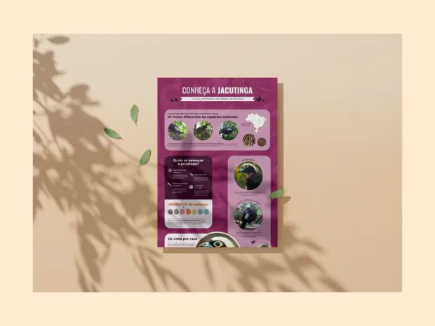 Banner Conheça a Jacutinga