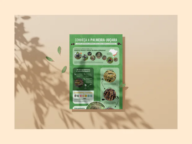 Banner Conheça a Palmeira-juçara