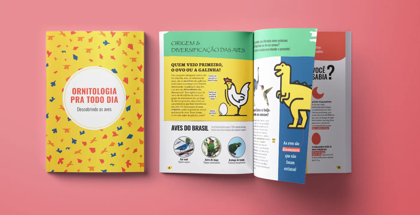Ornitologia pra todo dia - conhecendo as aves