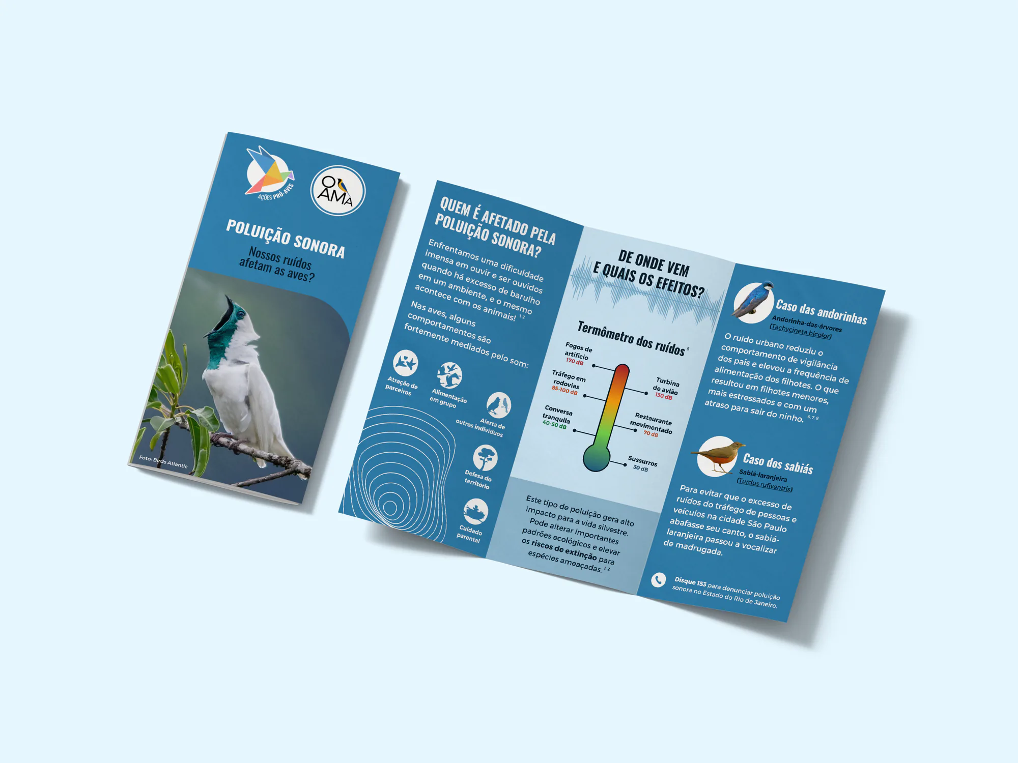 Campanha pró-aves: Poluição Sonora